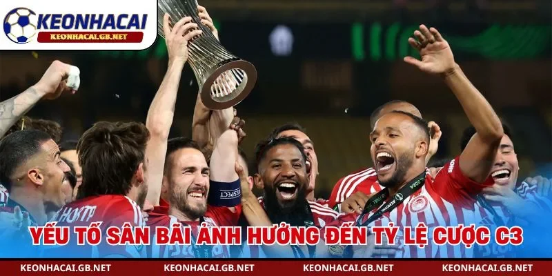 Yếu tố sân bãi ảnh hưởng đến tỷ lệ cược C3